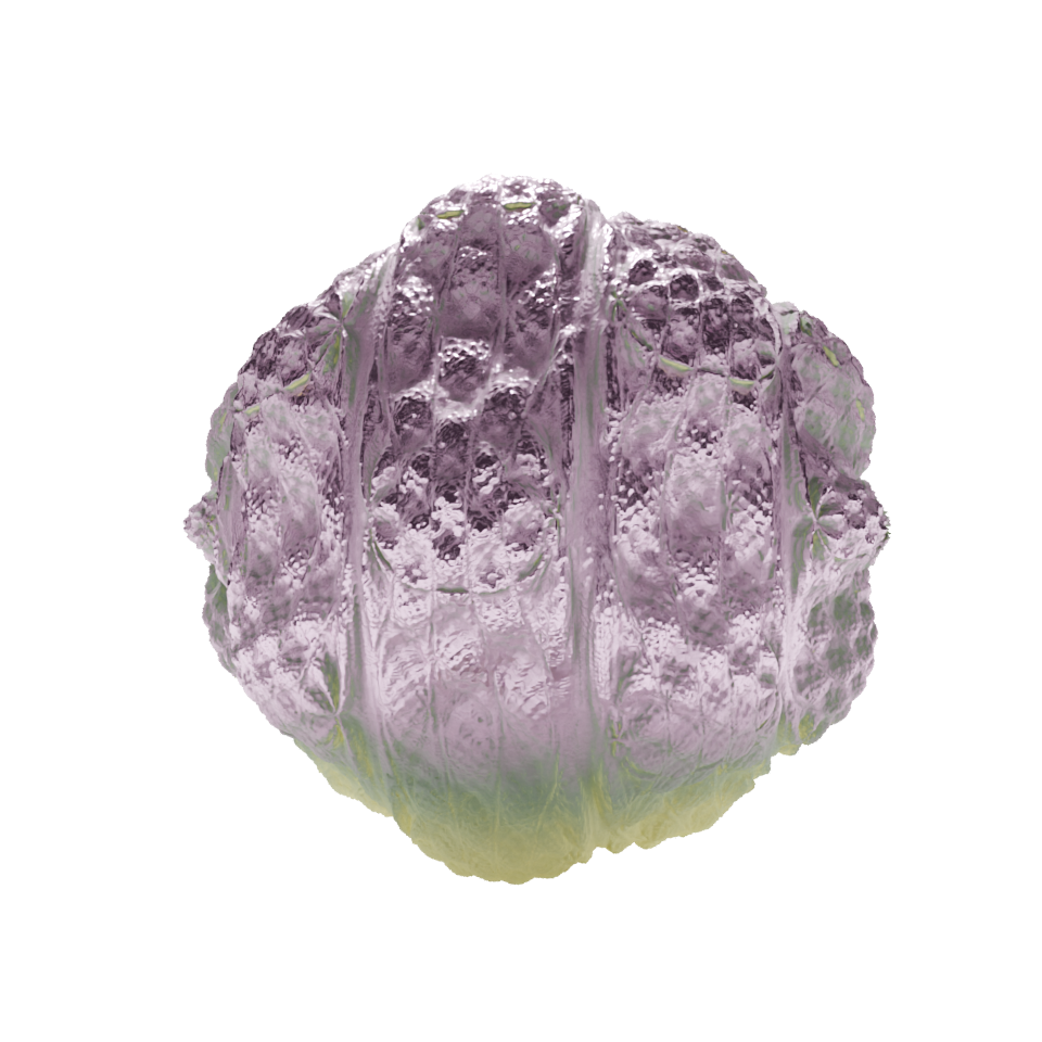 Artwork asset 0023
