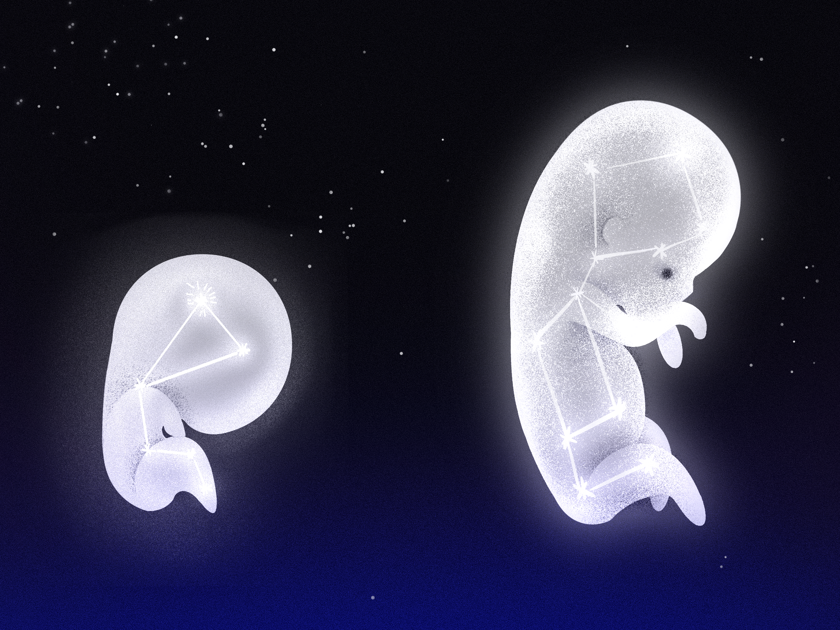 Constellation reference